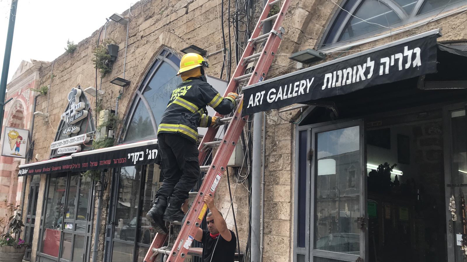 WhatsApp Image 2020-04-25 at 1.57.09 PM.jpeg.jpeg